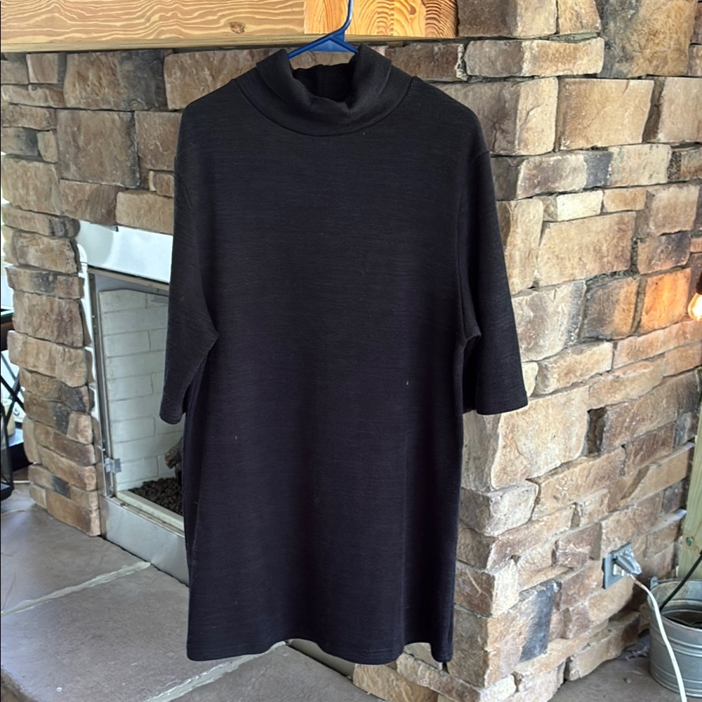 She + Sky Black Turtleneck Dress